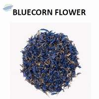 Fresh Dried Bluecorn Flower Premium Grade