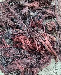 Alkanet Roots