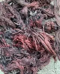 Alkanet Roots
