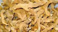 Shaqaqul Mishri (Pastinaca sativa)