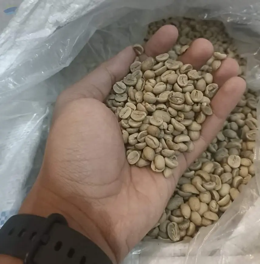 Coffee Beans