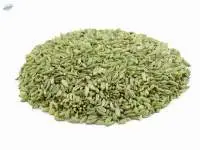 Green Saunf (Green Fennel)