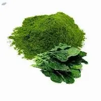 Palak Powder (Spinach Powder)