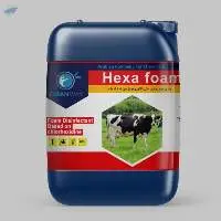 Hexa Foam