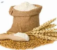 Wheat Flour, Rice , Maize, Rye and Cereal Flour