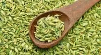 Fennel Seeds