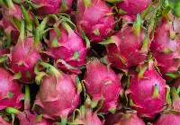 Dragon Fruit