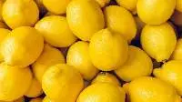 Fresh Lemon