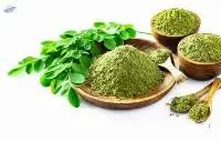 Organic Moringa Powder