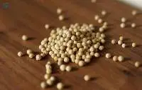White Pepper