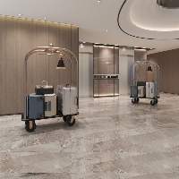 Luggage Trolley