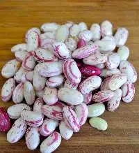 Beans
