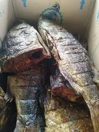Smoked Fish