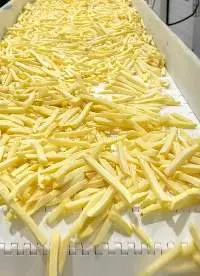 Frozen French Fries