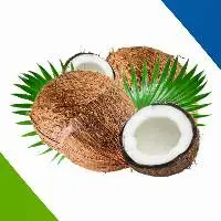 Husked Coconut