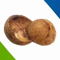 Coconut Shell