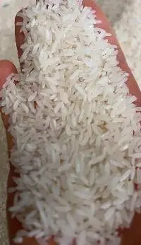 Thai Jasmine Rice
