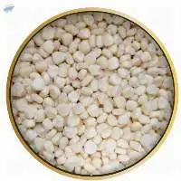 GMO White Corn