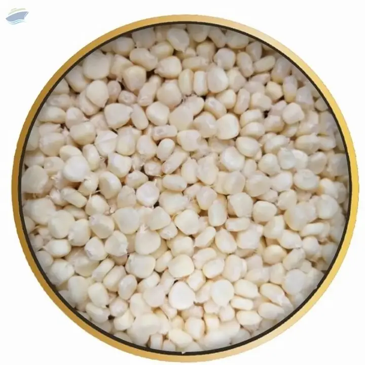 GMO White Corn