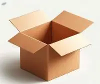 Single Wall Cardboard Box