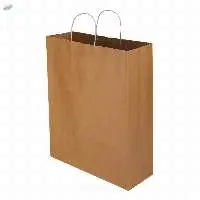 Brown Paper Bags With Twisted Handle