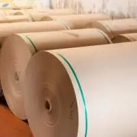 Natural/Unbleached Brown Kraft Paper Roll