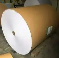 Bleached White Kraft Paper Roll