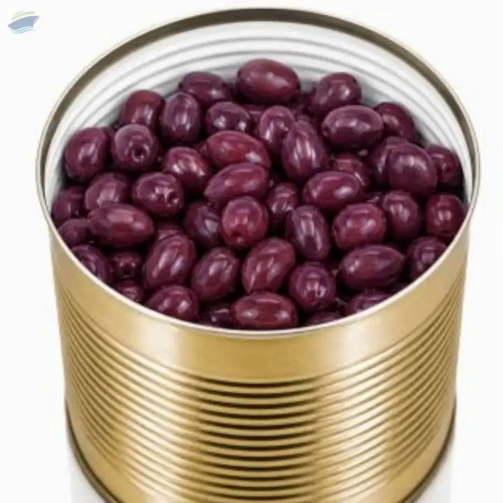 Egyptian Natural Black Olives Supplier
