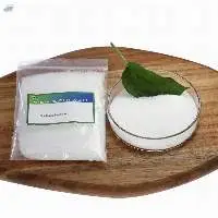 Sodium Saccharin 20-40 Mesh