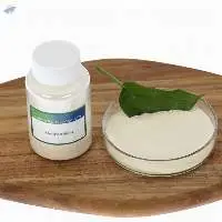 Xanthan Gum
