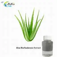 Aloe Vera Extract