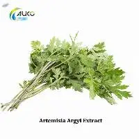 Artemisia Argy Extract