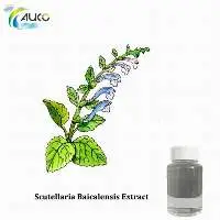 Scutellaria Baicalensis Extract