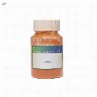 Marigold Flower Extract
