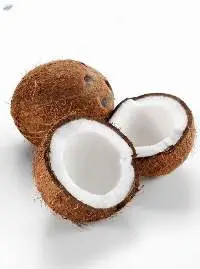 Coconut
