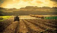 Agriculture Products