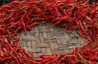 Red Chilli
