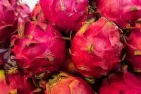 Dragon Fruit
