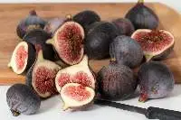 Fig