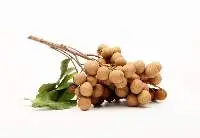 Longan