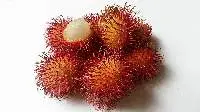 Rambutan