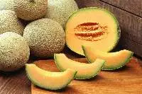 Muskmelon