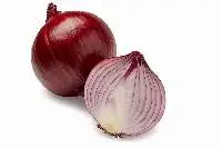 Onion