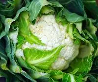 Cauliflower