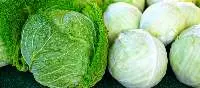Cabbages