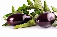 Brinjal (Eggplant)