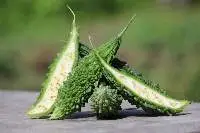 Bitter Gourd