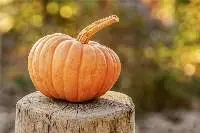 Pumpkins