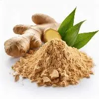 Dehydrated Ginger Powder