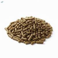 Pig Concentrate 10% Export Grade Quality